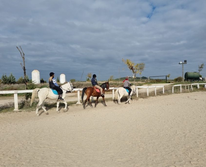 Clase de equitación en Hípica Getafe