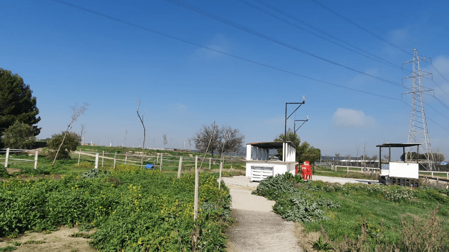 Instalaciones y pistas de Hípica Getafe